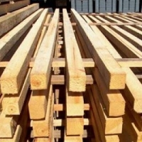 PONTALETES DE PINUS (CAIBROS DE PINUS).

USO: EXECUÇÃO DE TAIPÁS (LAJES), FORMAS PARA CONCRETO, COLUNAS, VIGAS E OUTROS.

PRODUTOS DISPONÍVEIS: PONTALETES ( CAIBROS )